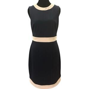 Vince Camuto Sheath Dress Navy Blue Blush Modern Workwear Size 6